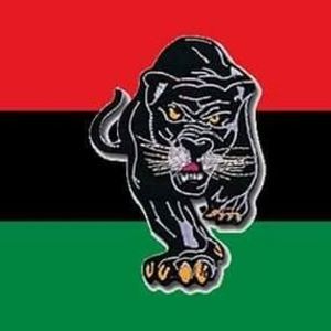 Meet your Posher, Eddie